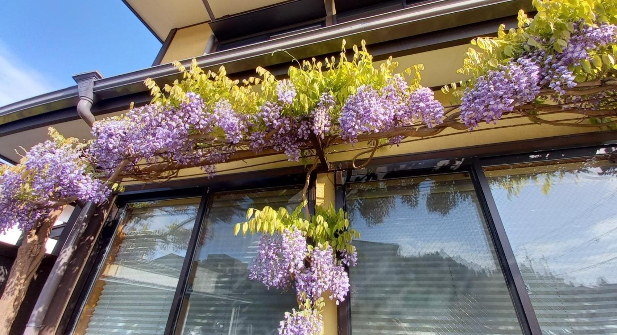 Maple Haus Hida Takayama - Vacation Stay 07682V Εξωτερικό φωτογραφία